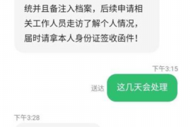 南澳债务清欠服务